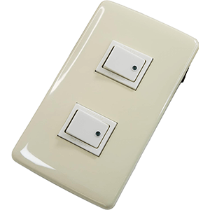 電設用 プレート付スイッチ×２（片切）