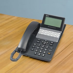 NTT αA1 Professional ビジネスフォンの外観画像（本体・受話器）