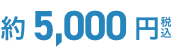 約5,000円