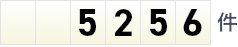 5256