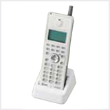 αN1 type S（NTT）