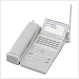 αN1 type S（NTT）