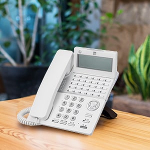 PLATIAⅡ Professional（SAXA）