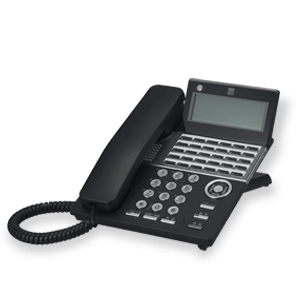 PLATIAⅡ Standard（SAXA）