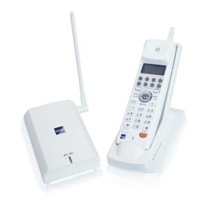 Regalis UT700（SAXA）