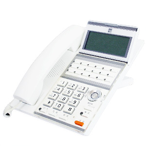 RegalisⅡ UT700（SAXA）