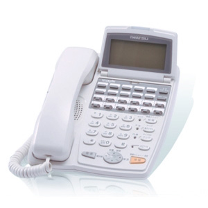 TELEMORE IP（岩通）