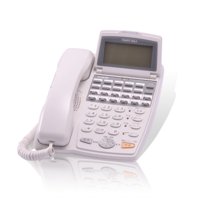 TELEMORE IP（岩通）