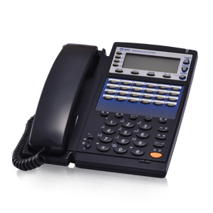 αGX＜Model1＞（NTT）