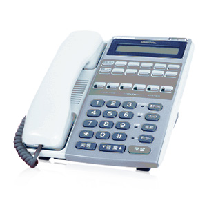 IP-Digaport（Panasonic）